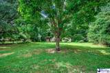 2313 Wedgewood Dr - Photo 22