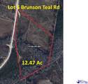 BFF5 Brunson Teal Rd - Photo 1