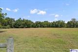 3346 Cresent Loop - Photo 15