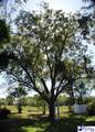 1148 Kershaw - Photo 17