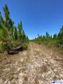  Ruby Rd (87.15 Acres) - Photo 10