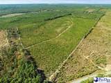  Ruby Rd (87.15 Acres) - Photo 2