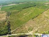  Ruby Rd (87.15 Acres) - Photo 3
