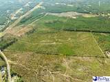  Ruby Rd (87.15 Acres) - Photo 4