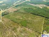  Ruby Rd (87.15 Acres) - Photo 5