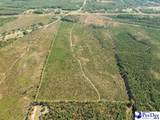  Ruby Rd (87.15 Acres) - Photo 6