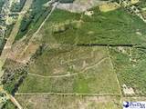  Ruby Rd (87.15 Acres) - Photo 7