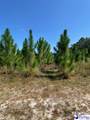  Ruby Rd (87.15 Acres) - Photo 9