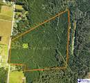 TBD E Friendfield Rd Tract A (48 Acres) - Photo 10