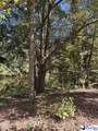 TBD E Friendfield Rd Tract B (47 Acres) - Photo 29
