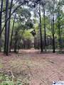 TBD E Friendfield Rd Tract B (47 Acres) - Photo 33