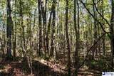 TBD E Friendfield Road Tract C (69 Acres) - Photo 29