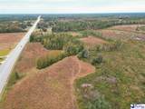83+/- Acres Pamplico Hwy - Photo 3