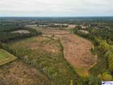 83+/- Acres Pamplico Hwy - Photo 4