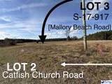 Lot 3 S-17-917(Mallory Beach Road) - Photo 1