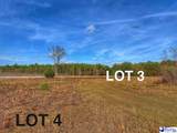 Lot 3 S-17-917(Mallory Beach Road) - Photo 5