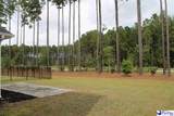 1008 Magnolia Warbler Way - Photo 10