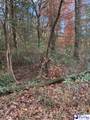 TBD Black Creek Road - Photo 2