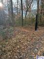 TBD Black Creek Road - Photo 3