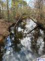 TBD Black Creek Road - Photo 5