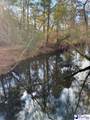 TBD Black Creek Road - Photo 6