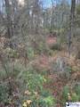 TBD Black Creek Road - Photo 7