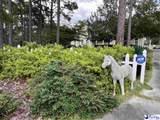 307 Lazar Lane - Photo 74