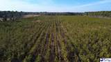 0 (TBD) Bay Catfish Rd. - Photo 12