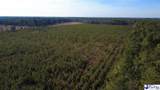 0 (TBD) Bay Catfish Rd. - Photo 16