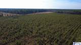 0 (TBD) Bay Catfish Rd. - Photo 17