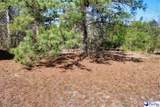 213 Pine Branch Lane - Photo 7