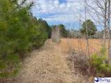791 Moulds Rd. - Photo 6