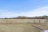 3981 Oates Hwy - Photo 48