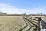 3981 Oates Hwy - Photo 49