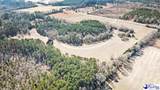3981 Oates Hwy - Photo 51