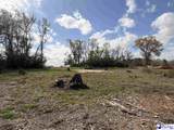 TBD Mclaurin Lake Circle - Photo 2