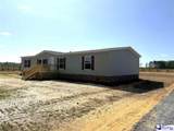 1507 Patty Road - Photo 30