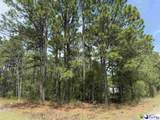 TBD Skylite Drive - Photo 2
