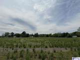 TBD Walnut Street - Photo 5