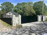 405 2nd St - Photo 4