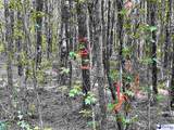 TBD Beth Dr - Photo 11