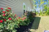 1423 Bourbon Drive - Photo 2