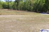50 Diamond Loop Rd - Photo 10