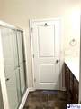3685 White Wing Circle - Photo 15