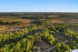 Lot 29 Bronco Road - Photo 4