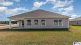 229 Bluff View Lane - Photo 16