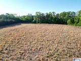 20.35 Acres Mineral Springs St - Photo 3