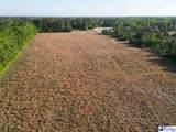 20.35 Acres Mineral Springs St - Photo 4