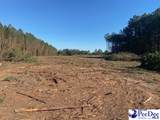 TBD Newberry Road - Photo 9