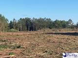 TBD Newberry Road - Photo 10